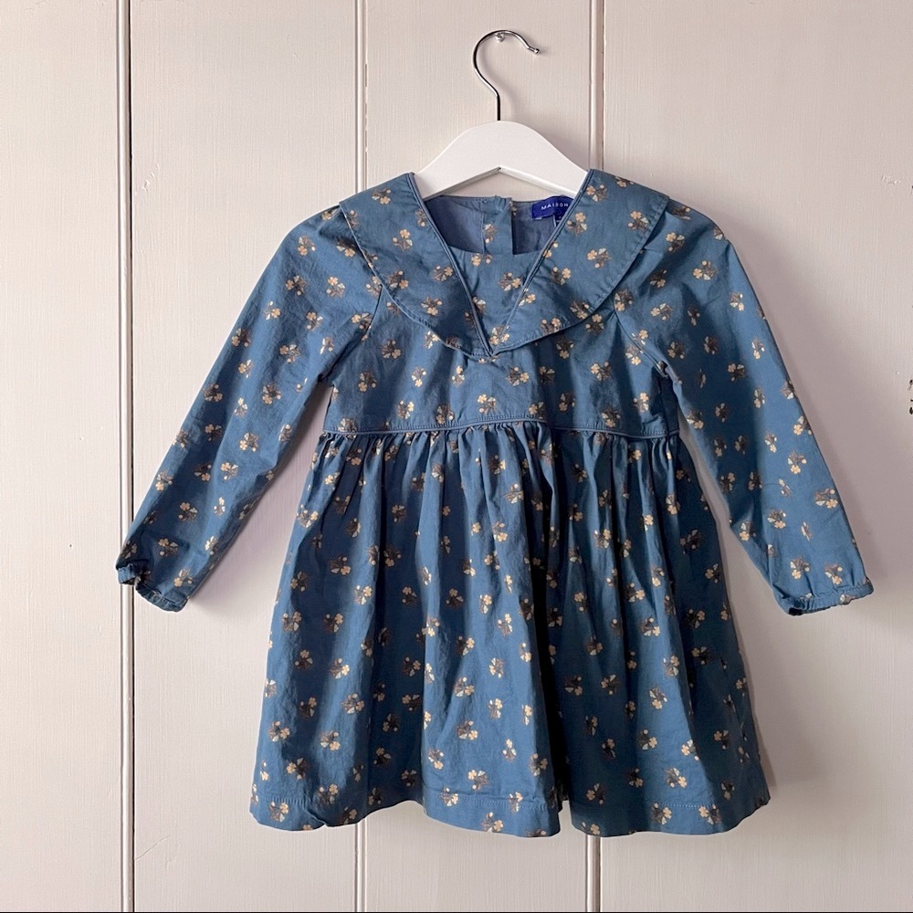 Toddler Girl Floral Print Dress